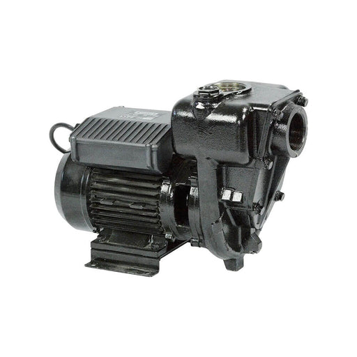 PIUSI E300 Pump 240V AC 550lpm - from PETRO Industrial