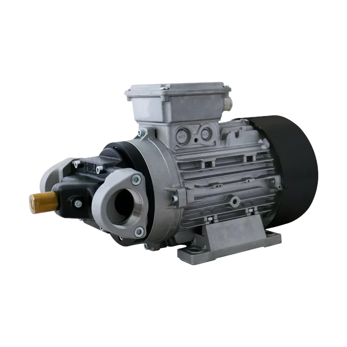PIUSI Viscomat Gerotor Electric Oil Pump