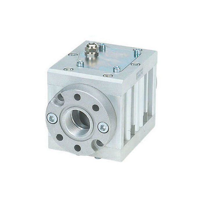 PIUSI Pulse Meter K600/4 40nb Scr BSP - from PETRO Industrial
